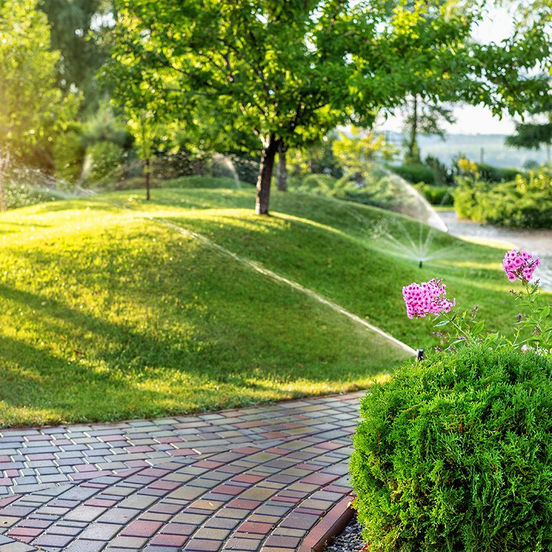 sprinkler watering in the garden