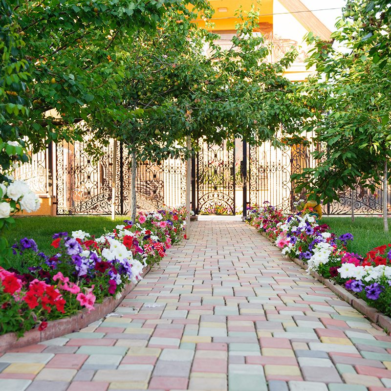 beautiful walkway