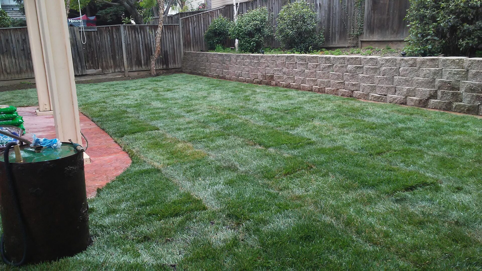 Landscaping backyard