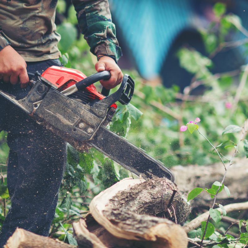 asian-man-cutting-trees-using-electrical-chainsaw