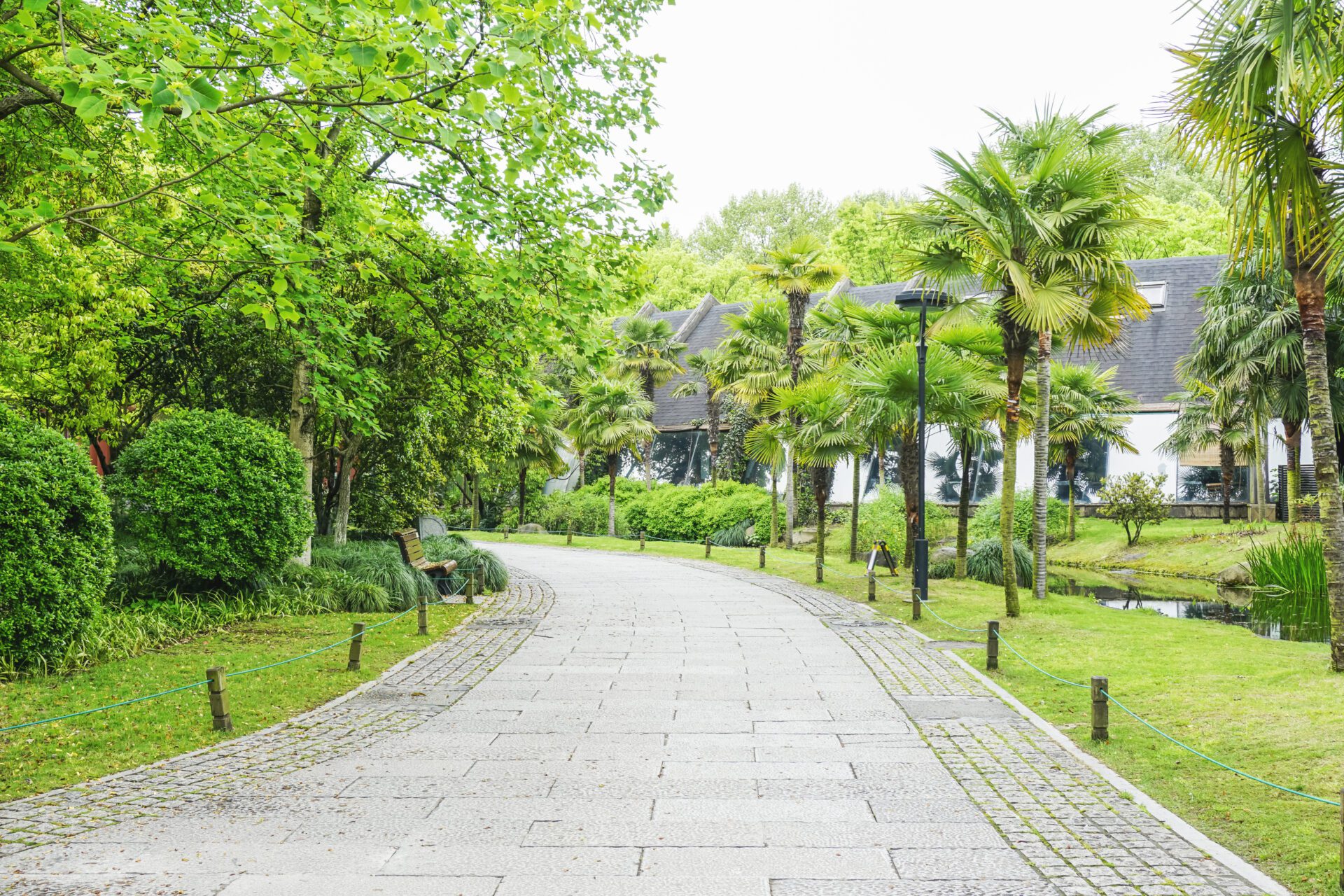 Walkway in the garden