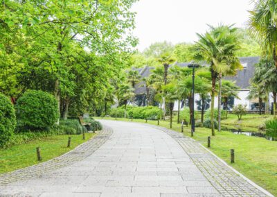 Walkway in the garden